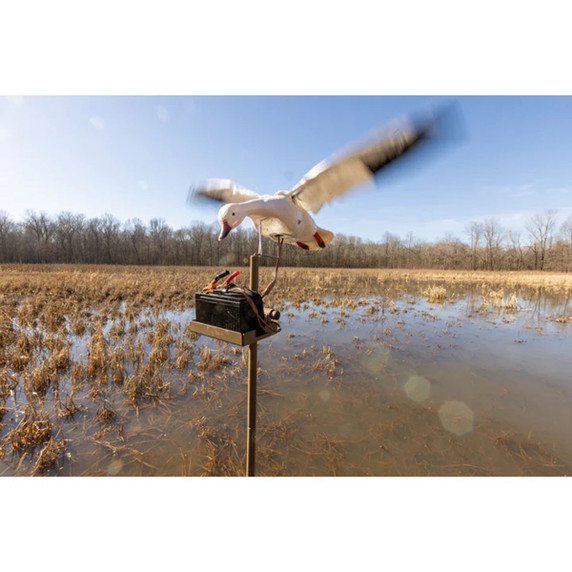 Higdon Outdoors Clone Water Stand Field Image