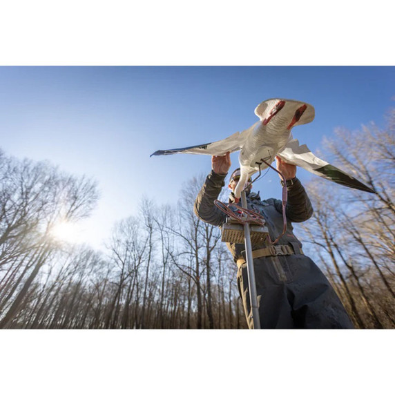 Higdon Outdoors Clone Water Stand Field Image