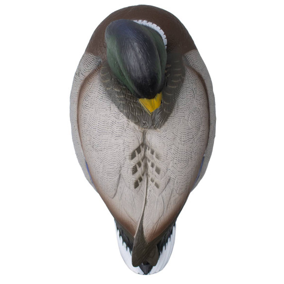 Top Sleeper Image of the Final Approach HD Full Body Mallard Decoy.