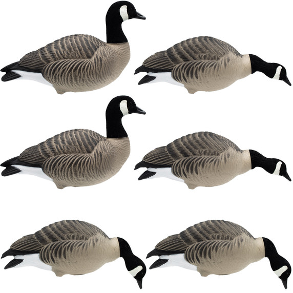Final Approach HD Full Body Lessers Goose Decoy Image