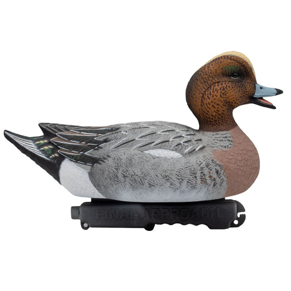 Final Approach Live Eurasian Floating Wigeon Duck Decoy Image