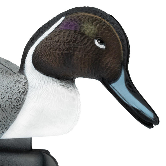 Final Approach HD Pintail Floating Duck Decoy close up head down image