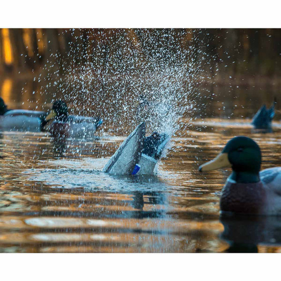 Higdon Outdoors Pulsator Pro Mallard Drake Decoy Image
