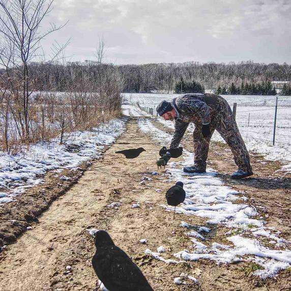 Lucky Duck Life-Size Crow Decoys - 3 Pack In-the-Field Image