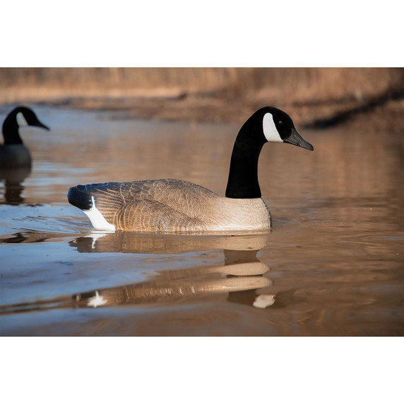 Higdon Outdoors Battleship Swimmer PRO Canada Goose Decoy In-the-Water Image