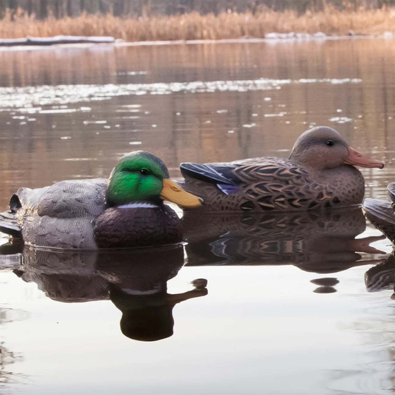 Higdon Outdoors Standard Mallard Filler 6 Pack Image