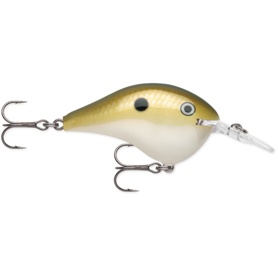 Rapala DT06 Series Crankbaits Image in  Lemon Shad