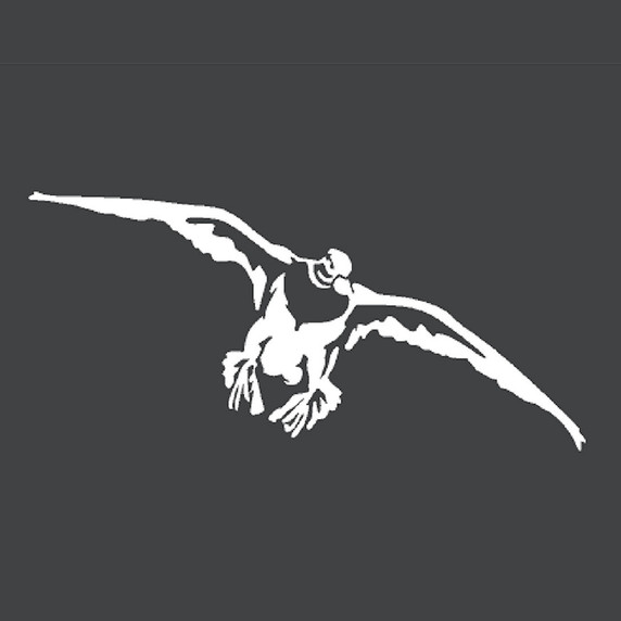 Hunters Image Drake Mallard - Small Decal