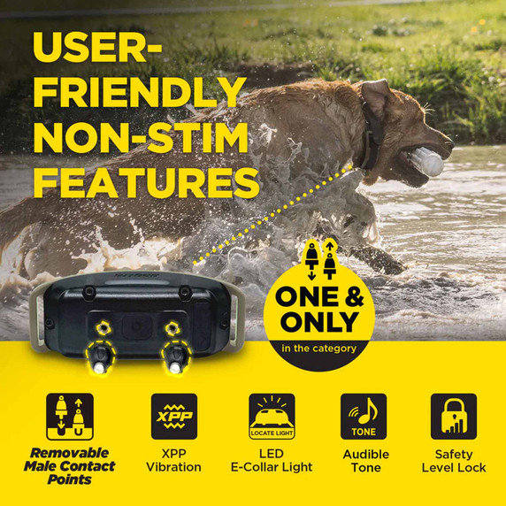 Dogtra 1900X 2-Dog Electronic Dog Collar Details Image