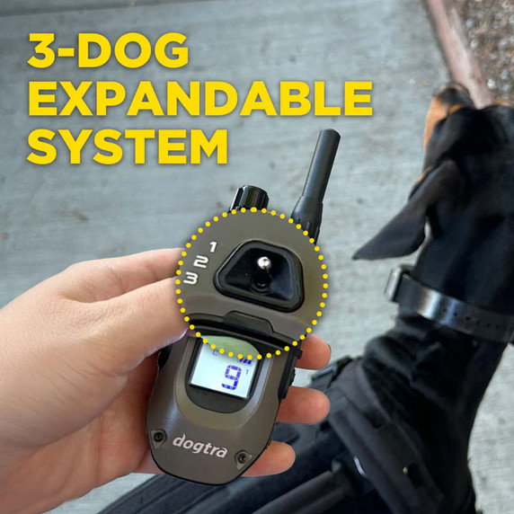 Dogtra 1900X 2-Dog Electronic Dog Collar Details Image
