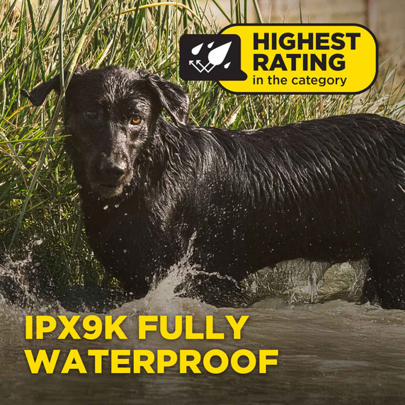 Dogtra 1900X 2-Dog Electronic Dog Collar Details Image