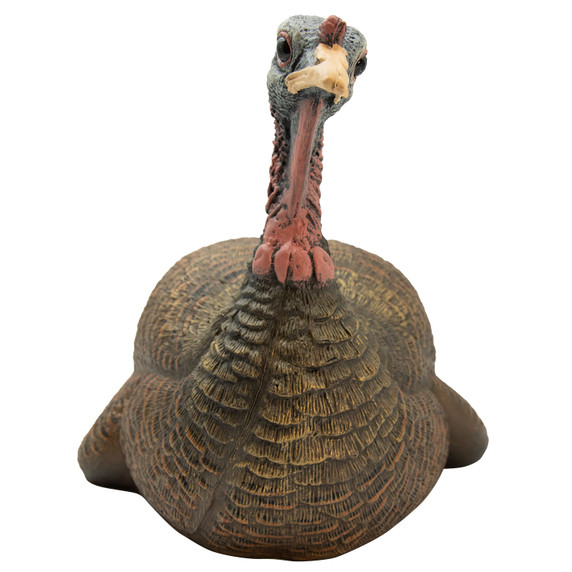 Final Approach Live Laydown Hen Front Image