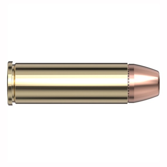 Hornady 454 Casull 300 Grain DGH Backcountry Defense Handgun Ammunition Cartridge Image