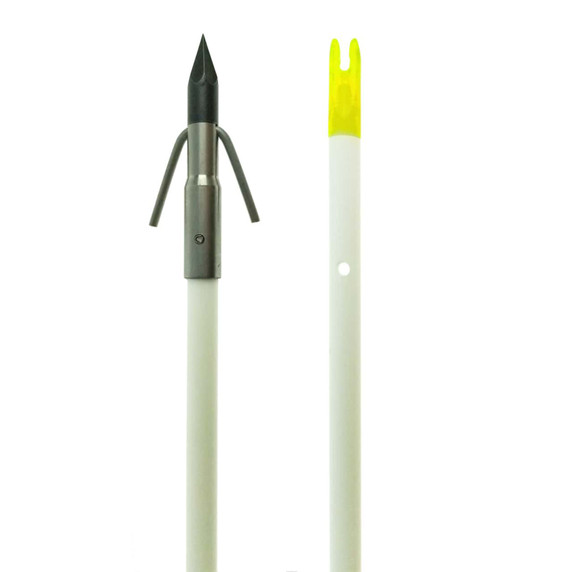 Muzzy Fish Arrow with Carp Point