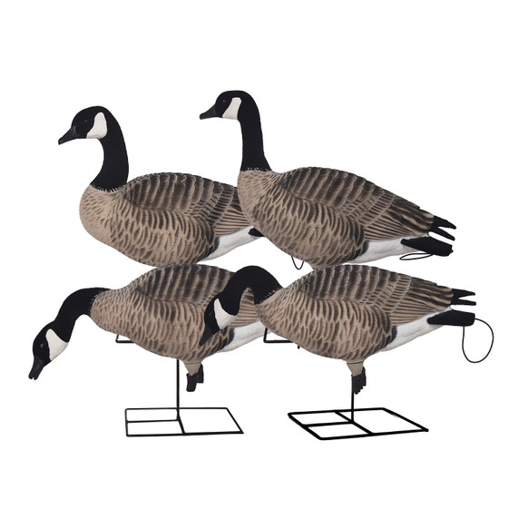 Avery Pro Grade XD FFD Canada Goose Harvester Full Body Decoys, 4 Pack Image