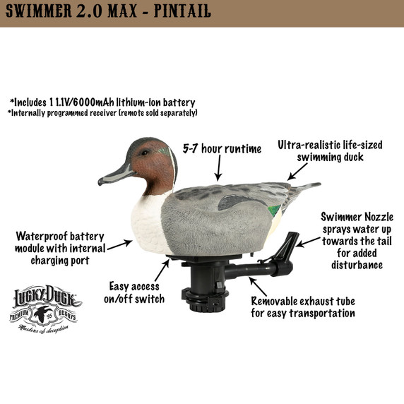 Lucky Duck HDi Super Swimmer 2.0 Max Motion Decoy, Pintail Drake Features Image