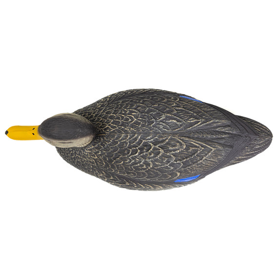 G&H Decoys Timber Hole Mixed Mallard, Gadwall and Black Duck Decoys Black Duck Top Image