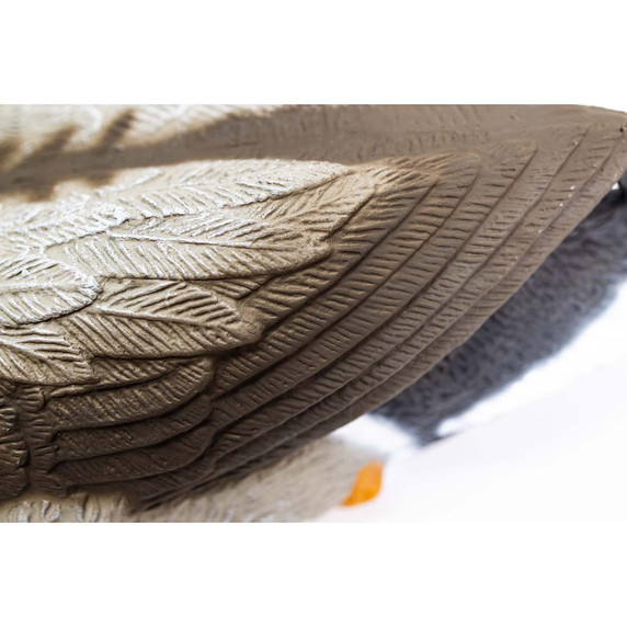 Tail Feather Image on the Premier Series Magnum Mallard Drake Pack.