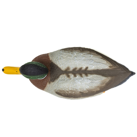 Top of Drake Image on the Premier Series Magnum Mallard Drake Pack.