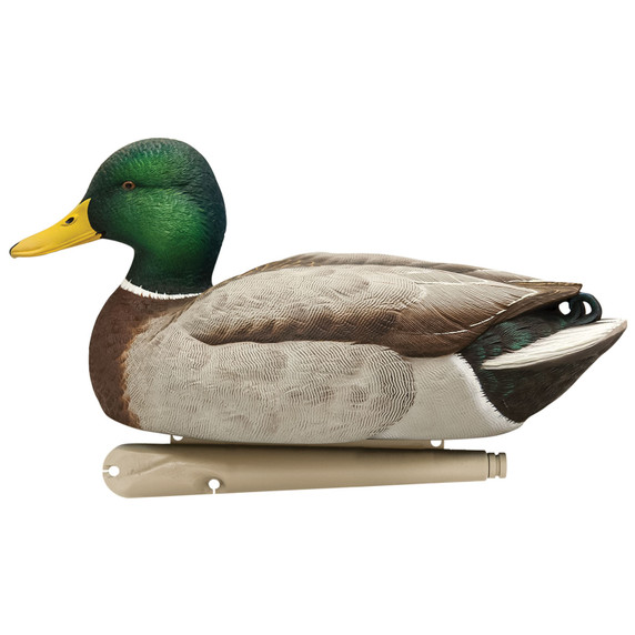 High Head image of the Avian-X Topflight Mallards Fusion Extreme Drake.
