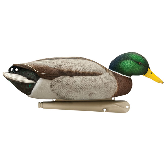 Feeder image of the Avian-X Topflight Mallards Fusion Extreme Drake.