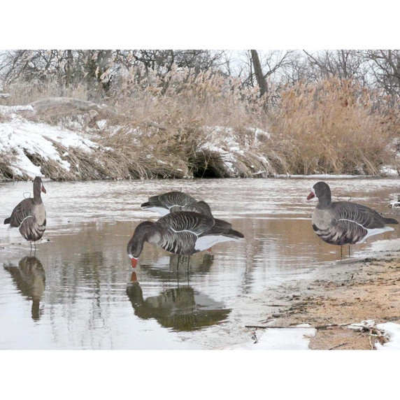 SilloSocks Fully Flocked Specklebelly Goose Silhouettes multiple image