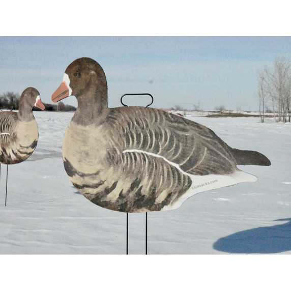 SilloSocks Fully Flocked Specklebelly Goose Silhouettes outdoor image