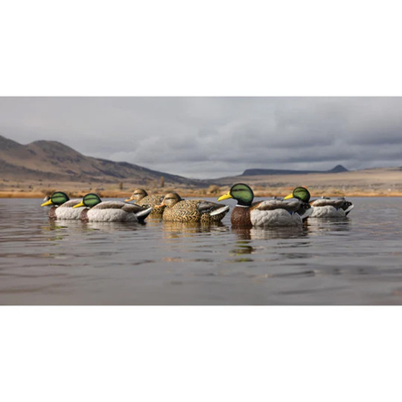 Higdon Legacy Magnum Mallard with Foam Filled Flocked Heads floating image