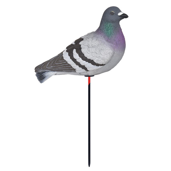 Avery Full Body Pigeon Decoy image