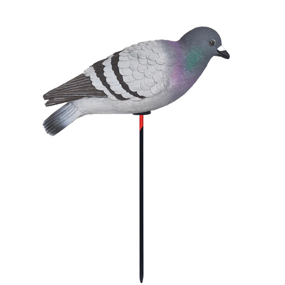 Avery Full Body Pigeon Decoy image
