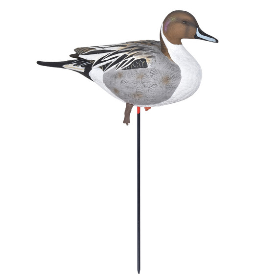 GHG Pro-Grade Full-Body Pintail Duck Decoy Active Drake Image