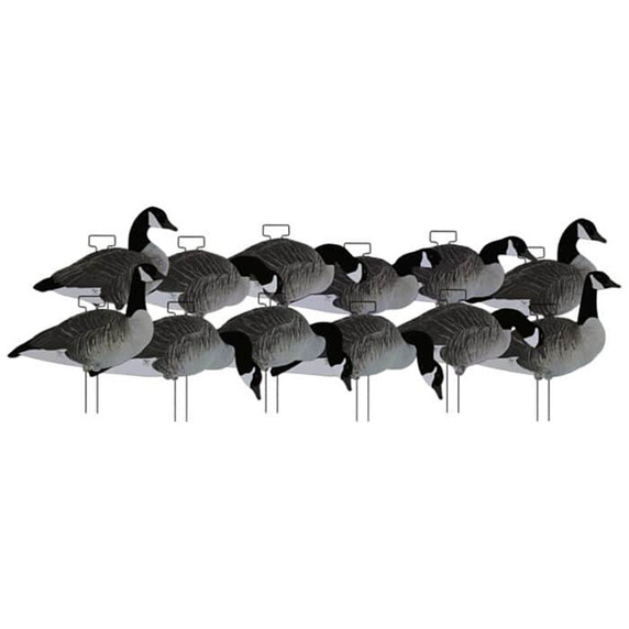 X-Treme Fully Flocked Canada Silhouettes, 12 Pack