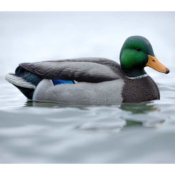 Side Field Image of the Mallard Drake Avian-X Topflight Oversized Floating Mallard Decoy.