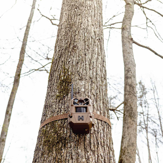 Moultrie Edge 3 Cellular Trail Camera On Tree Image