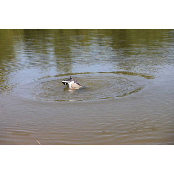 MOJO Mallard Machine side action image