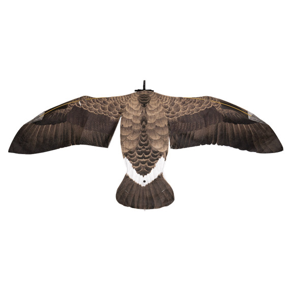 Canada Goose Flapping Flyer