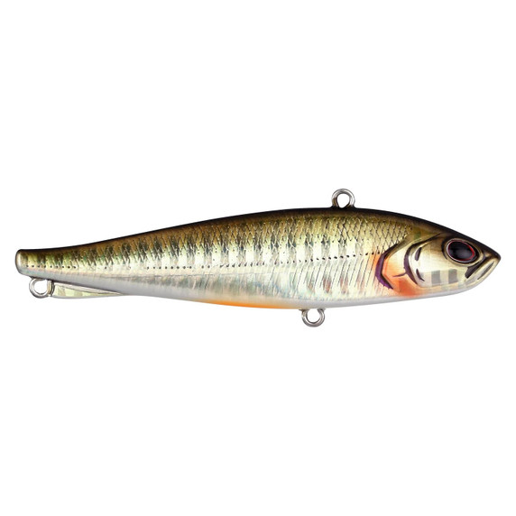 Berkley Ripfish image in Dark Shiner