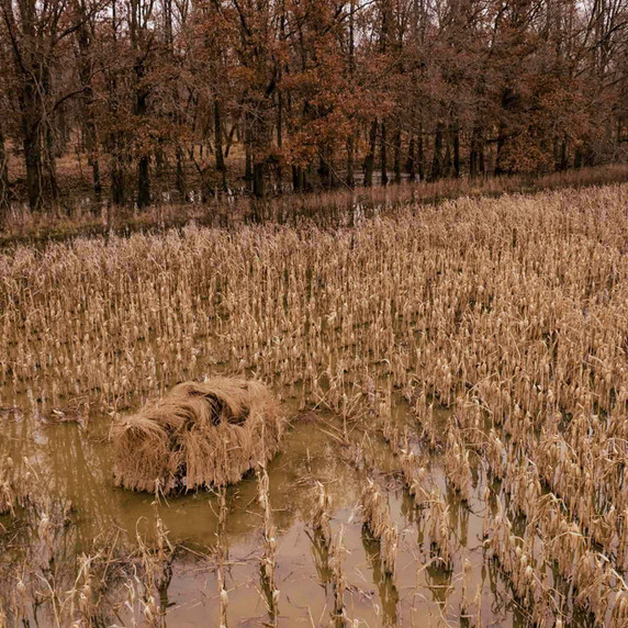 Fast Strike 2 Blind Package other zoomed out image