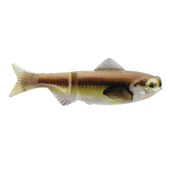 Head Hunter Lures 2" Keystone Minnow Soft Bait in Dace
