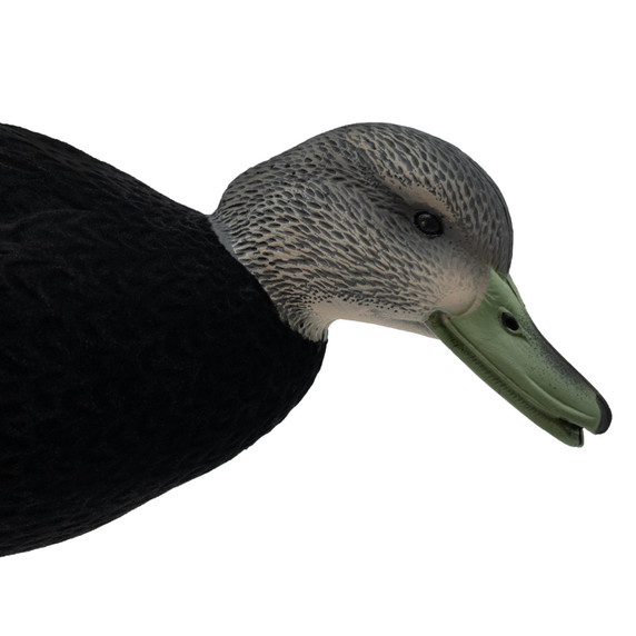 Final Approach HD Fully Flocked Full Body Black Duck close up feeder drake image