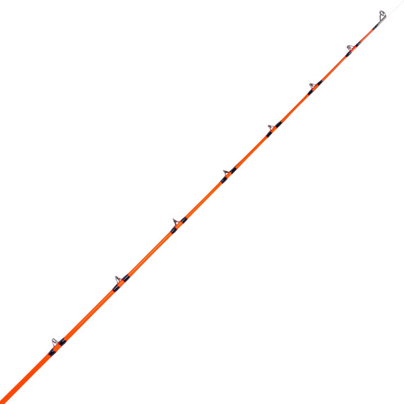 Guides Image of the Whisker Seeker FMJ V2 Spinning Rod