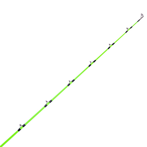 Rod Guides and Tip Image of the Whisker Seeker FMJ V2 Casting Rod
