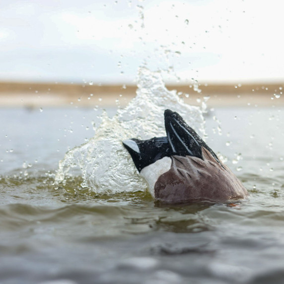 Mood Image of the Higdon Outdoors Pulsator Pro Fully Flocked Wigeon Drake Duck Decoy.