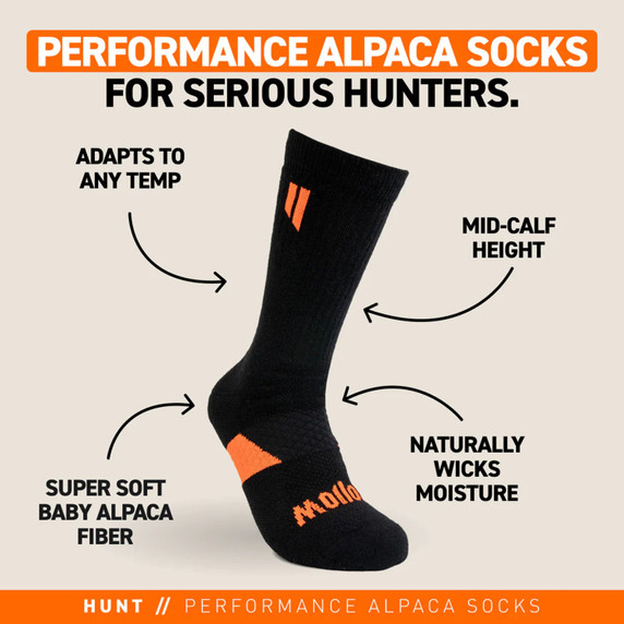 Features image of the Hollow Alpaca Hunt Socks.