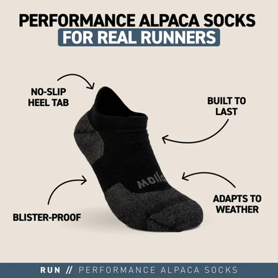 Chart image of the Hollow Run No-Show Tab Alpaca Socks.
