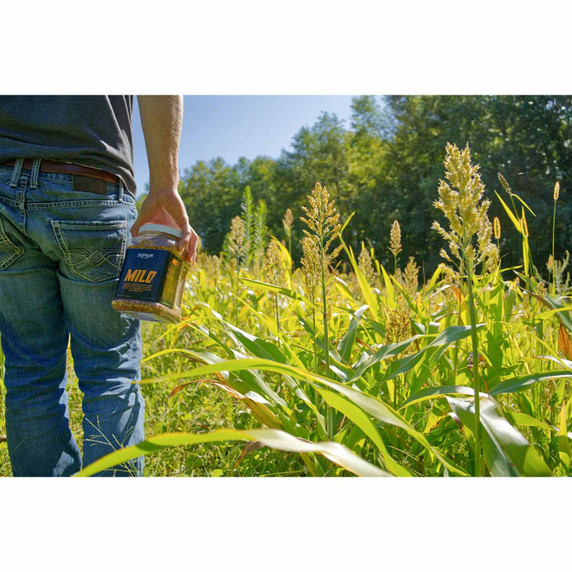 Field image of the Milo