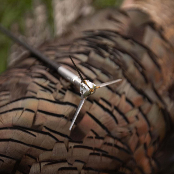 Mood Image of the G5 Outdoors Dirty Bird Broadhead.