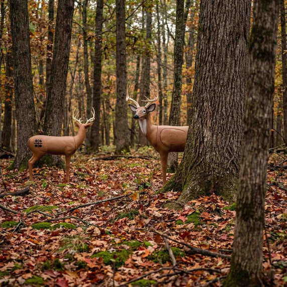 Lifestyle Image of the BigShot Pro Hunter Double Duty Buck Archery Target.