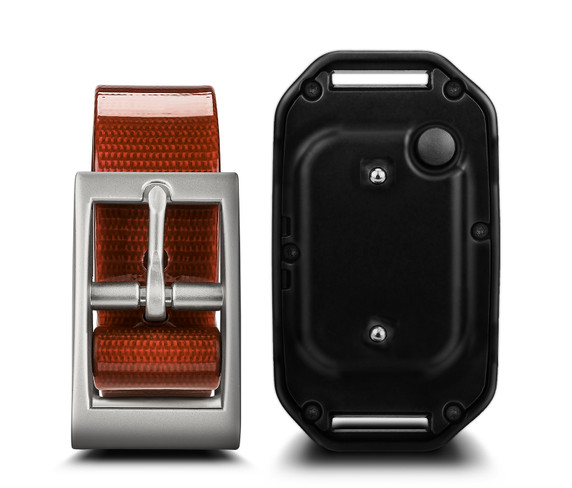 Parts image of the Garmin PT 10 Dog Device