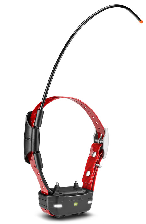 Image of the Garmin TB 10 Dog Device in Red
